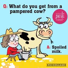 The Simplest Things Make Me Laugh So Hard Cute Jokes Funny Jokes For Kids Jokes For Kids