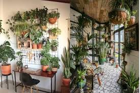Selain membuat rumah tampak cantik dan indah jika kamu ingin membuat taman minimalis tapi belum tahu tanaman apa saja yang mau dipilih, berikut beberapa ide tanaman untuk taman minimalis. 9 Potret Desain Taman Dalam Rumah Berasa Di Villa