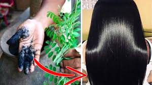 It is the acorn cups that will produce a black dye when boiled in water. Homemade 20 Min Hair Dye For Instant Black Hair Color White Hair To Black Naturally Priya Malik Youtube