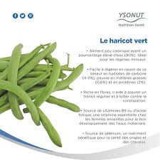 Le Haricort Vert Aliments Bons Pour La Sante Alimentation Et Sante Sante Et Beaute