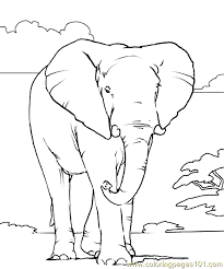 By best coloring pagesaugust 1st 2013. African Elephant Coloring Page For Kids Free Elephant Printable Coloring Pages Online For Kids Coloringpages101 Com Coloring Pages For Kids