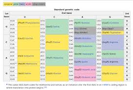 Dna Codon Table Protein Synthesis Dna Transcription Tyrosine
