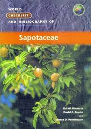 Image result for Sapotaceae