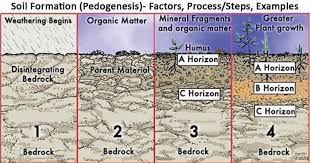 Soils form from the interplay of five main factors namely parent material, time, climate, relief, and organisms. Soil Formation Pedogenesis Factors Process Steps Examples