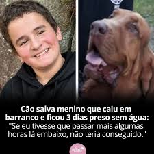 Um tombo de 73 metros. Quase 80 horas desaparecido. Uma família  desesperada. E um herói improvável de quatro patas. No final de julho, a  vida de Cody Trenkle, de 14 anos, mudou