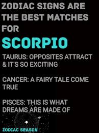 Best Matches For Scorpio Family Magazine