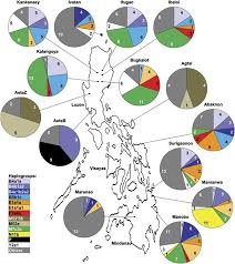 Maybe you would like to learn more about one of these? Complete Mtdna Genomes Of Filipino Ethnolinguistic Groups A Melting Pot Of Recent And Ancient Lineages In The Asia Pacific Region European Journal Of Human Genetics