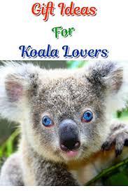 Totally Cute Gifts For Koala Lovers 2021 Koala Funny Koala Koala Bear