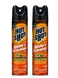 Understand that most bugs spray repellents do not. The Best Spider Sprays Insect Cop