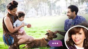 Introducing Dogs And Newborn Babies Step By Step Guide