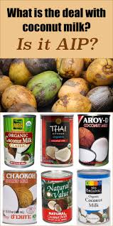 Paleo diet 30 days challenge day 1 with diet recipes and daily budget !world best weight loss diet! What S The Deal With Coconut Milk Is It Even Paleo Aip A Squirrel In The Kitchen