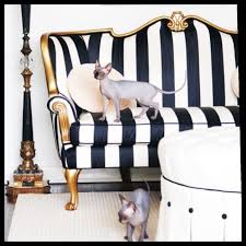 Love The Victorian Couch W New Striped Fabric Black And White Chic Hvitt Interior Gammel Stol Hjem