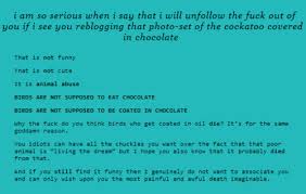 Browse and share the top funny chocolate fountain bird gifs from 2021 on gfycat. Square Up Mate 1v1 Me Lets Go