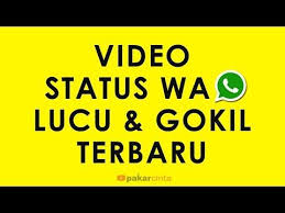 Video Status Wa Lucu Gokil Terbaru Youtube Gambar Lucu Lucu Ungkapan Lucu