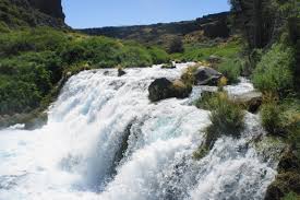 On the way through, we noticed a number of possible camping areas, but we parked right near the parking lot that visitors can use if they are taking a walk into the very impressive box canyon trail. Box Canyon Springs Thousand Springs State Park Id Live And Let Hike
