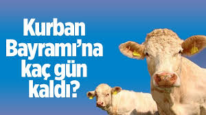 2021 yılı resmi tatil günleri. 2021 Kurban Bayram Tarihleri
