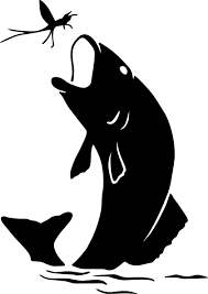 Fish Hi Png 420 593 Pixels Fish Silhouette Fish Drawings Silhouette Art