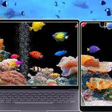 Wallpaper Aquarium Hidup Gratis Wallpaper Keren Aquarium Wallpaper