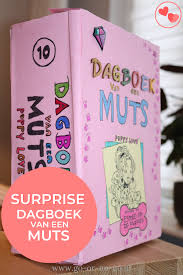 Dagboek Van Een Muts Surprise Voor Sinterklaas Knutselen Go Or No Go Boeken Knutselen Knutselen Sinterklaas Sinterklaas