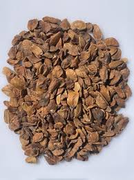 Image result for Hunteria umbellata