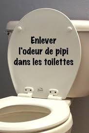 Enlever L Odeur De Pipi Facilement Dans Les Toilettes Odeur De Pipi Nettoyage De La Maison Nettoyer Maison
