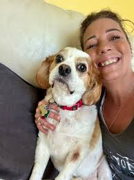 My good friends and these are their puppies Chase and Elliot almost 8  months old. They are so loving, playful , so so very very sweet and  precious 💕❤️🕊️🦋🐶