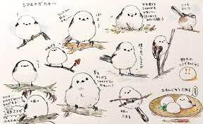 るるてあ on twitter cute birds drawings pet birds