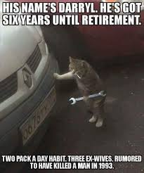 Pin By Stephanie Surman Falls On Wow Funny Cat Memes Funniest Cat Memes Best Cat Memes