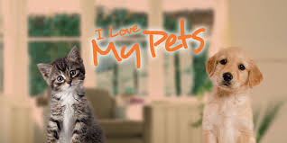 Sin embargo, (¿la mascota de la mascota de mario?) yoshi sí que monta sobre un perro que le ayuda en sus juegos de plataformas. I Love My Pets Nintendo 3ds Juegos Nintendo