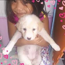 🏆 2025 RODEOHOUSTON Team Roping Champions: Derrick Begay & Colter Todd