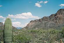 Your support allows girls to participate in troops, individual projects, council events, camp and more. Scouting In Arizona Wikipedia
