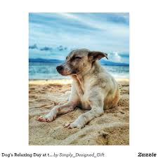 Dog S Relaxing Day At The Beach Ocean Sand Sun Postcard Zazzle Com In 2020 Dog Help Training Your Dog Happy Dogs