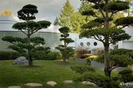 If all of that bare space is too much to look at, and the kids and. Asian Garden Design