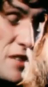 IMAGINE Being There For THIS! Pt 1 #shorts #guitar #classicrock  #ledzeppelin #heart