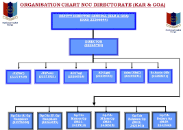 Organisation Chart