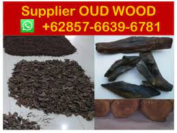 Contextual translation of kayu gaharu into english. Gaharu Indonesia Suppliers 62 857 6639 6781 Indonesia Gaharu K