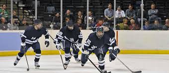 Rpi Engineers Hockey Tickets Seatgeek