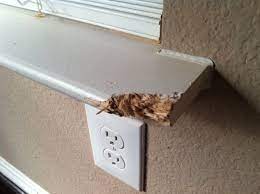 We did not find results for: Wood Epoxy Fixes Around The House Wood Epoxy Diy Home Improvement Diy Home Repair