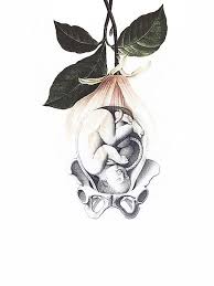 Pin On مشروع التخرج