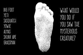 Sur.ly for wordpress sur.ly plugin for wordpress is free of charge. Bigfoot Or Bust The Blueprint