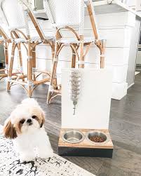 Cute Diy Dog Water Bottle Stand Milotheshihtzu Instagram Dog Water Bottle Diy Water Bottle Pet Water Bottle