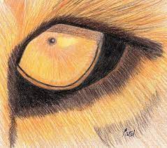 You can order a canvas. Lions Eye Drawing By Bav Patel