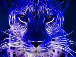 Blue Cheetah Cheetah Wallpaper Wild Cats Lion Wallpaper