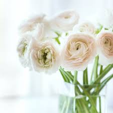 With an eye for design, her creative mind is constantly at work, planning the next dinner party or designing a new floral arrangement. Floral Arrangements For Your Dinner Party Vanilla Square