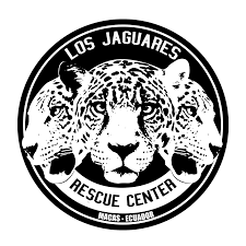 The official source of the latest jaguars headlines, news, videos, photos, tickets, rosters, stats, schedule and gameday information Los Jaguares Rescue Center Home Facebook