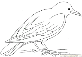 Halloween smiling witch and crow by azuzl. Coloring Pages Crow Hungry Birds Gt Crow Free Printable Crow Pictures Bird Coloring Pages Bird Coloring Pages For Kids