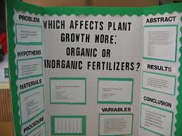 Science Fair Projects 13 Wide Wallpaper Jpg 1 600 1 200 Pixels Plant Science Fair Projects Science Fair Projects Middle School Science Fair Projects