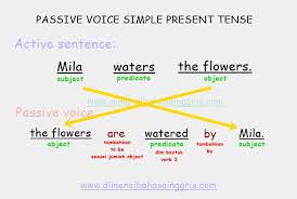 Gimana learners, dengan contoh setiap kalimat di atas, terlihat sangat jelas kan perbedaan dari setiap. Passive Voice Dalam Berbagai Jenis Tenses Lengkap Dan Mudah Dimensi Bahasa Inggris