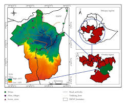 Image result for Habenaria peristyloides