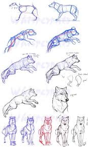 Loup Dessin Chien Comment Dessiner Un Loup Dessin Visage
